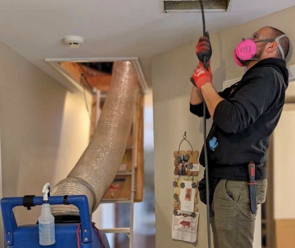 freshflow duct and chimney cleaner man wearing black uniform and pink mask